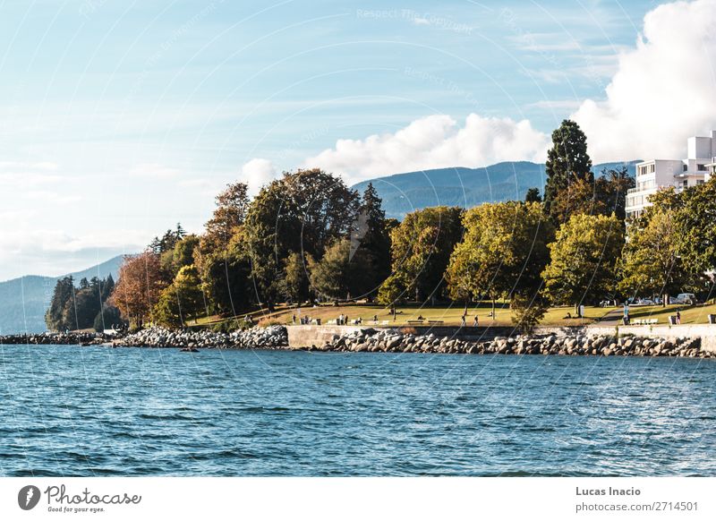 Stanley Park und das Meer in Vancouver, Kanada Sommer Strand Umwelt Natur Sand Himmel Baum Blatt Felsen Küste Skyline Abenteuer Erholung Freiheit Freude