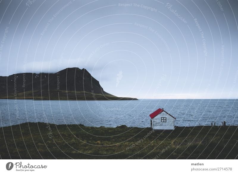 Datsche Landschaft Wasser Himmel Horizont Frühling Schönes Wetter Wind Gras Felsen Berge u. Gebirge Strand Bucht Fjord Meer Menschenleer Hütte Dach kalt maritim