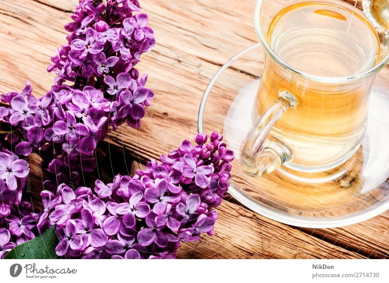 Tasse Tee und Fliederblüten Kräutertee Blume Fliederbusch Becher Frühling trinken Tisch Blüte Kräuterbuch frisch Aroma natürlich Blatt Blütenblatt rosa