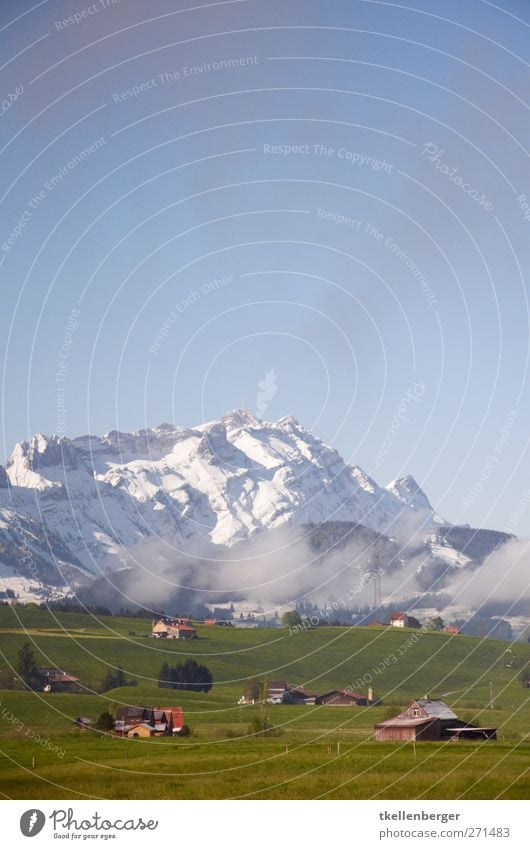 Eisberg Umwelt Natur Landschaft Himmel Wolken Frühling Baum Gras Grünpflanze Alpen Berge u. Gebirge Gipfel Schneebedeckte Gipfel blau grün weiß Weide