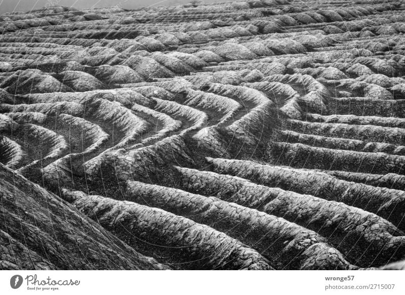 Bergbaulandschaft II Umwelt alt dreckig dunkel grau schwarz Halde Abraumhalden Strukturen & Formen Schwarzweißfoto Querformat Außenaufnahme Nahaufnahme abstrakt