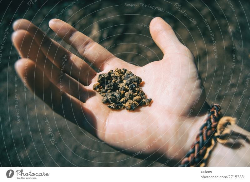 Nahaufnahme einer vulkanischen Erde, die von einer menschlichen Hand mit einem Armband gehalten wird Ferien & Urlaub & Reisen Abenteuer wandern Mensch Finger