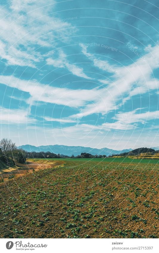 Eine vertikale Aufnahme einer sonnigen ländlichen Landschaft auf dem Land Ferien & Urlaub & Reisen Ausflug Berge u. Gebirge wandern Umwelt Natur Himmel Wolken