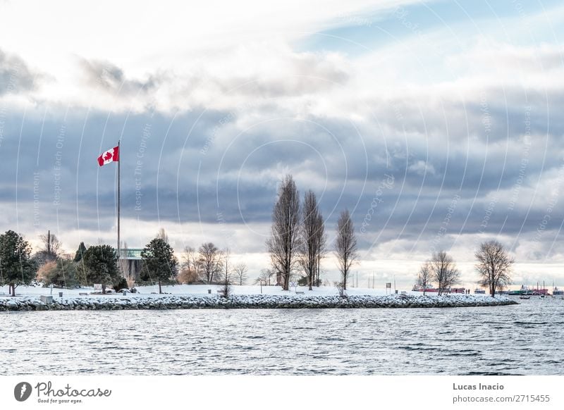 Vancouver schneebedeckter Strand, BC, Kanada Meer Winter Schnee Umwelt Natur Sand Himmel Wolken Schneefall Baum Blatt Felsen Küste Stadtzentrum Skyline Fahne