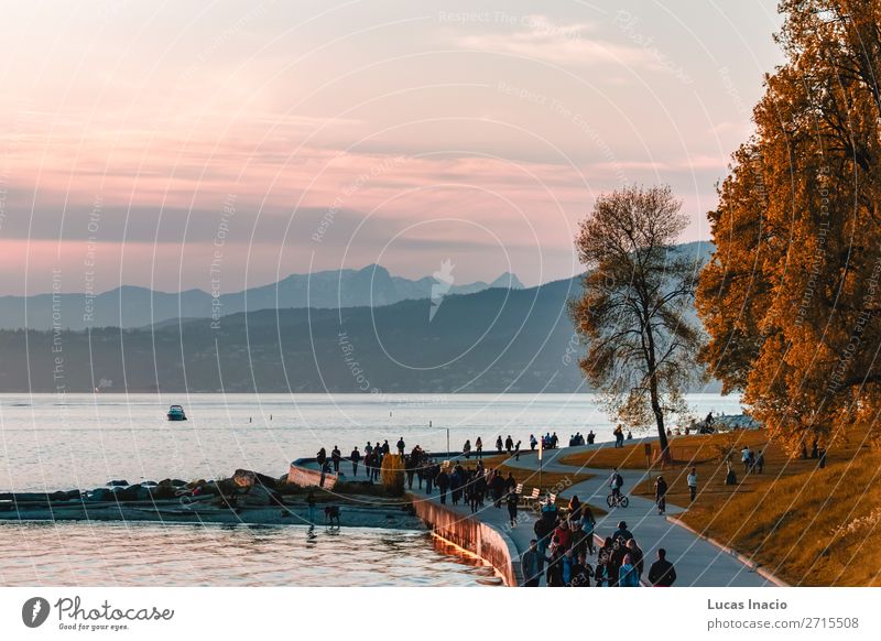 Sonnenuntergang am Sunset Beach in Vancouver, BC, Kanada Sommer Strand Umwelt Natur Baum Blume Blatt Blüte Park Felsen Stadtzentrum Abenteuer Erholung amerika