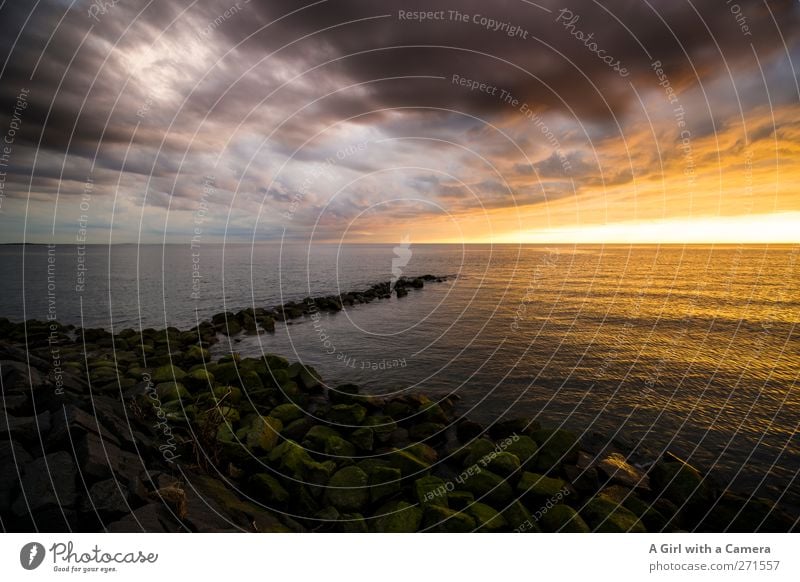 Hiddensee l I just want to hold you in my arms Natur Landschaft Urelemente Himmel Wolken Gewitterwolken Horizont Sonne Sonnenaufgang Sonnenuntergang Frühling