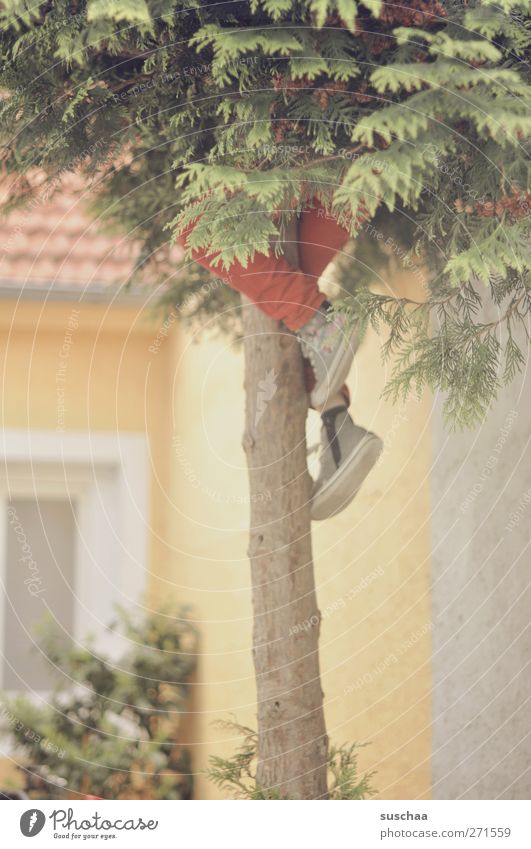 schwupps ... Kind Kindheit Beine Fuß Baum Gebäude Fassade Fenster Beton Freude Klettern Gedeckte Farben Kindererziehung eigenwillig Erziehungshilfe