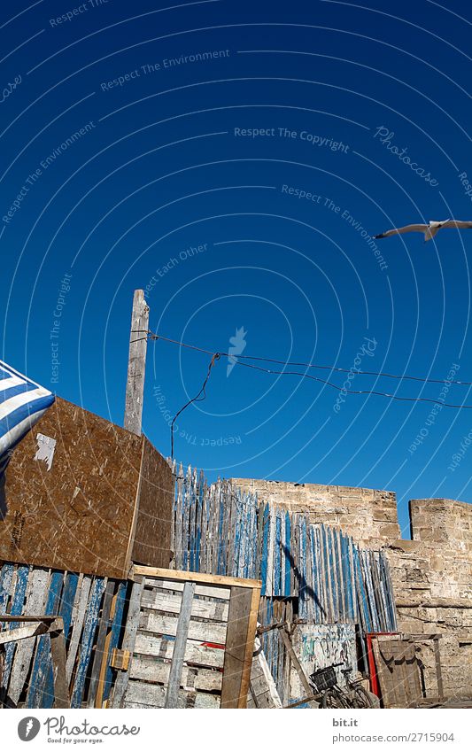 Alte Bretterwand im Hafen von Essaouira, in Marokko, Afrika. Renovieren Handwerker Baustelle Architektur Himmel Mauer Wand Fassade alt dreckig blau weiß