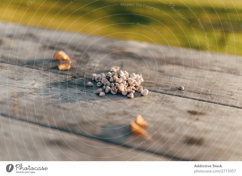 Kleine Muscheln auf Holztisch Muschelschale klein Natur Tisch marin natürlich Objektfotografie Tier schön Detailaufnahme Nahaufnahme Weichtier aquatisch