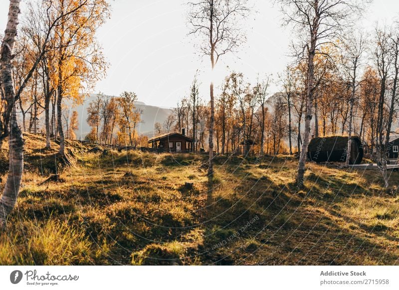 Kleines Haus im Wald Herbst klein Natur Landschaft Jahreszeiten mehrfarbig Licht schön Orange Beautyfotografie Oktober Aussicht Blatt Gebäude Umwelt natürlich