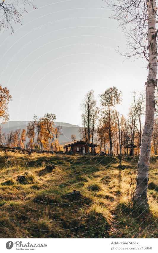 Kleines Haus im Wald Herbst klein Natur Landschaft Jahreszeiten mehrfarbig Licht schön Orange Beautyfotografie Oktober Aussicht Blatt Gebäude Umwelt natürlich