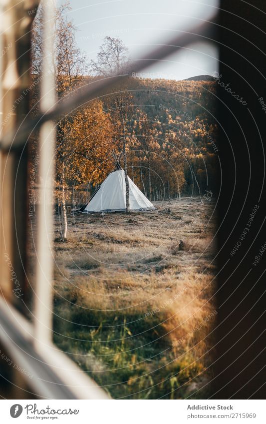 Blick auf das Zelt im Wald Herbst Fenster Aktion Natur Park Lifestyle Landschaft Tourismus Ferien & Urlaub & Reisen wandern Abenteuer Jahreszeiten