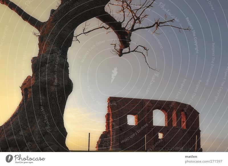 relicts Landschaft Himmel Wolkenloser Himmel Sonnenaufgang Sonnenuntergang Frühling Schönes Wetter Baum Küste Menschenleer Kirche Ruine Fenster Hoffnung Glaube