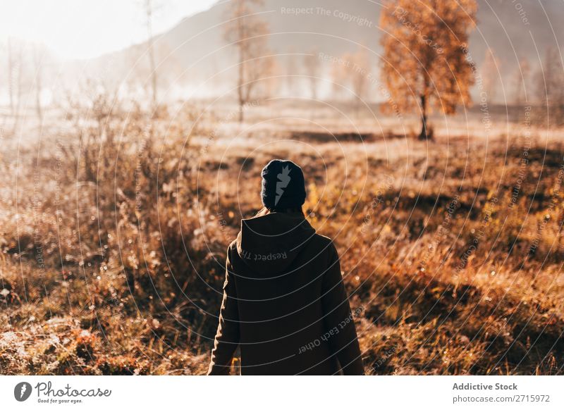 Person, die im Wald auf der Straße unterwegs ist. Mensch laufen Natur Herbst ländlich wandern Freizeit & Hobby Ferien & Urlaub & Reisen Abenteuer Park Aktion