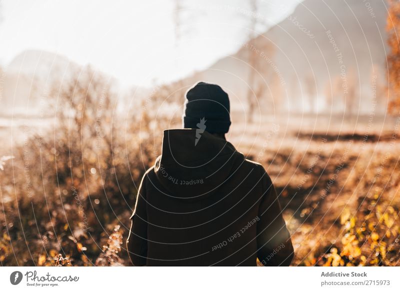 Person, die im Wald auf der Straße unterwegs ist. Mensch laufen Natur Herbst ländlich wandern Freizeit & Hobby Ferien & Urlaub & Reisen Abenteuer Park Aktion