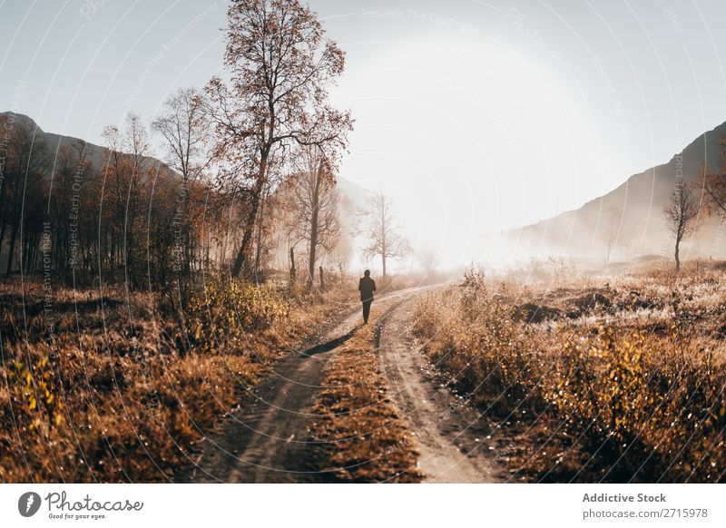 Person, die im Wald auf der Straße unterwegs ist. Mensch laufen Natur Herbst ländlich wandern Freizeit & Hobby Ferien & Urlaub & Reisen Abenteuer Park Aktion