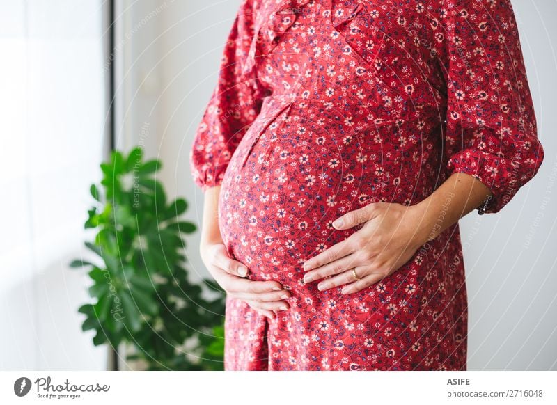 Schwangere Frau, die ihren Bauch berührt. Glück Körper Mensch Baby Erwachsene Eltern Mutter Frauenbrust Arme Hand Pflanze Blume Kleid berühren Liebe stehen