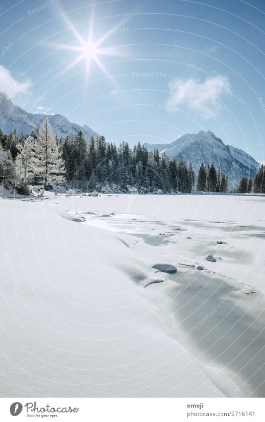 Arnisee XIV Umwelt Natur Landschaft Winter Schönes Wetter Schnee Baum Berge u. Gebirge See außergewöhnlich natürlich blau weiß Tourismus ruhig Gebirgssee