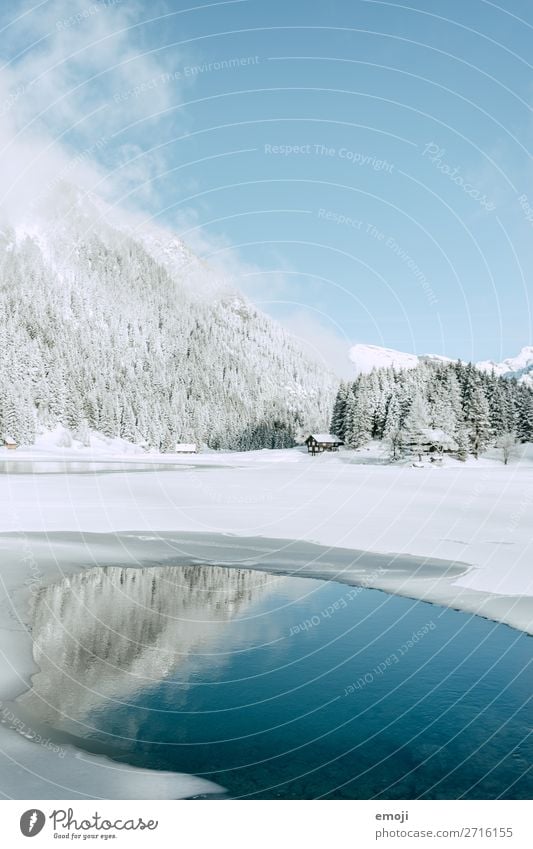 Arnisee IX ruhig Tourismus Ausflug Winter Schnee Winterurlaub Berge u. Gebirge Umwelt Natur Landschaft Wasser Schönes Wetter Baum See außergewöhnlich natürlich