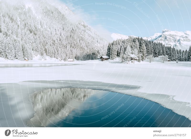 Arnisee X ruhig Tourismus Ausflug Winter Schnee Winterurlaub Berge u. Gebirge Umwelt Natur Landschaft Wasser Schönes Wetter Baum See außergewöhnlich natürlich