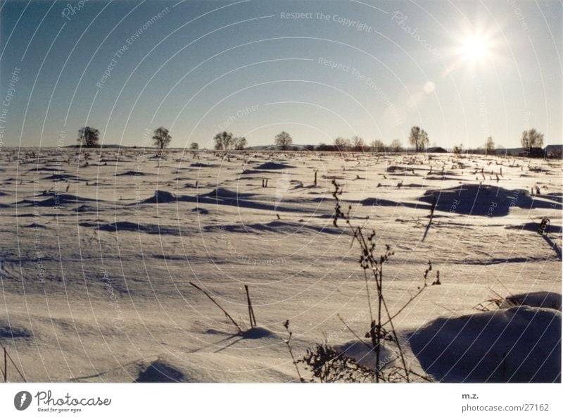 winterwüste Sonne Feld Winter kalt Schnee . Wüste hell