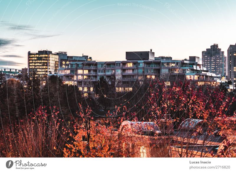 False Creek in Vancouver, Kanada Haus Umwelt Natur Himmel Wolken Herbst Baum Blatt Stadtzentrum Skyline Gebäude Architektur Straße dunkel amerika Amerikaner