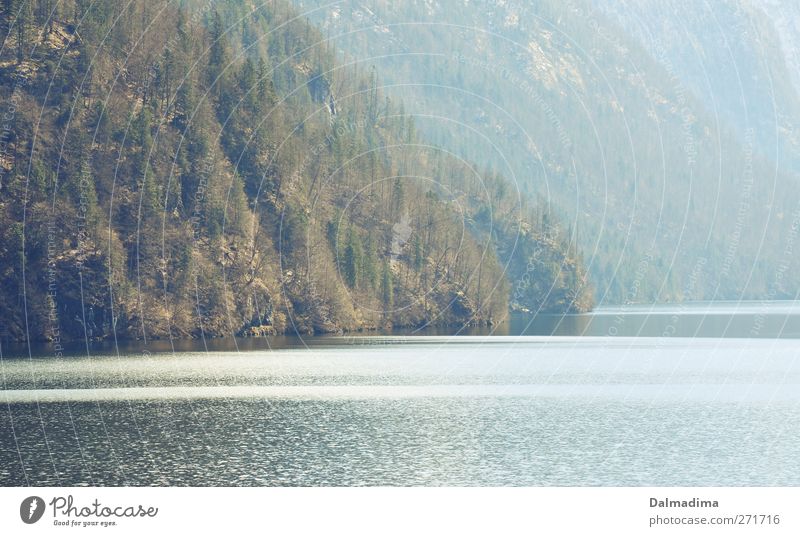 Königssee Ferien & Urlaub & Reisen Ausflug Freiheit Berge u. Gebirge wandern Umwelt Natur Landschaft Urelemente Wasser Frühling Baum Gras Sträucher Wald Alpen