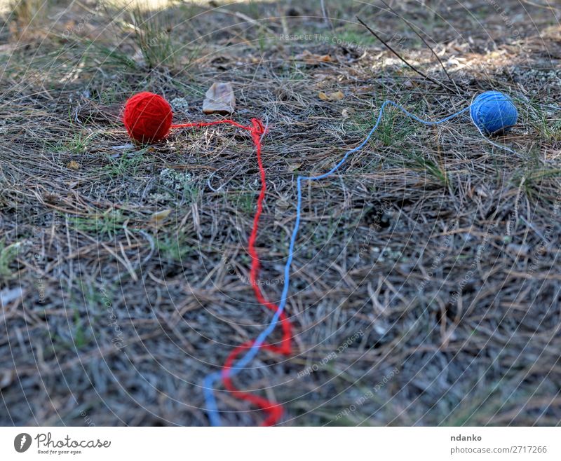 zwei kleine Wollkugeln, die in der Mitte des Waldes abgewickelt wurden. Sommer Natur Gras Wege & Pfade Bewegung laufen blau grün rot Abenteuer Idee Überleben