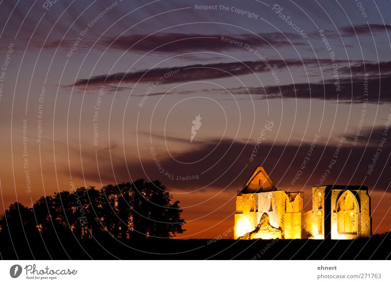 Klosterruine auf der Ile de Ré ruhig Wolken Ruine geheimnisvoll Religion & Glaube Abbaye des Chateliers Beleuchtung geisterhaft Farbfoto Außenaufnahme