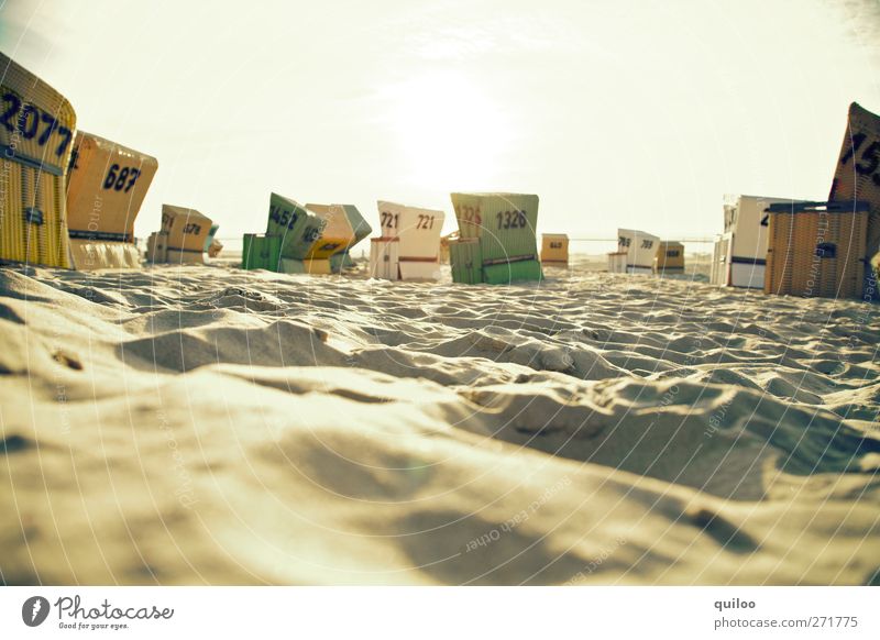 Strandkörbe Ferien & Urlaub & Reisen Tourismus Sommerurlaub Sonne Küste Nordsee Strandkorb Sand Zusammensein Wärme braun gold Lebensfreude Warmherzigkeit ruhig