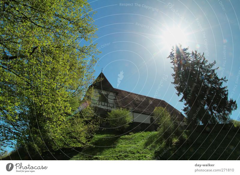 Summertime Landschaft Wolkenloser Himmel Frühling Schönes Wetter Baum Gras Wiese Hügel Kirche Gebäude blau grün Farbfoto Außenaufnahme Menschenleer Tag Licht