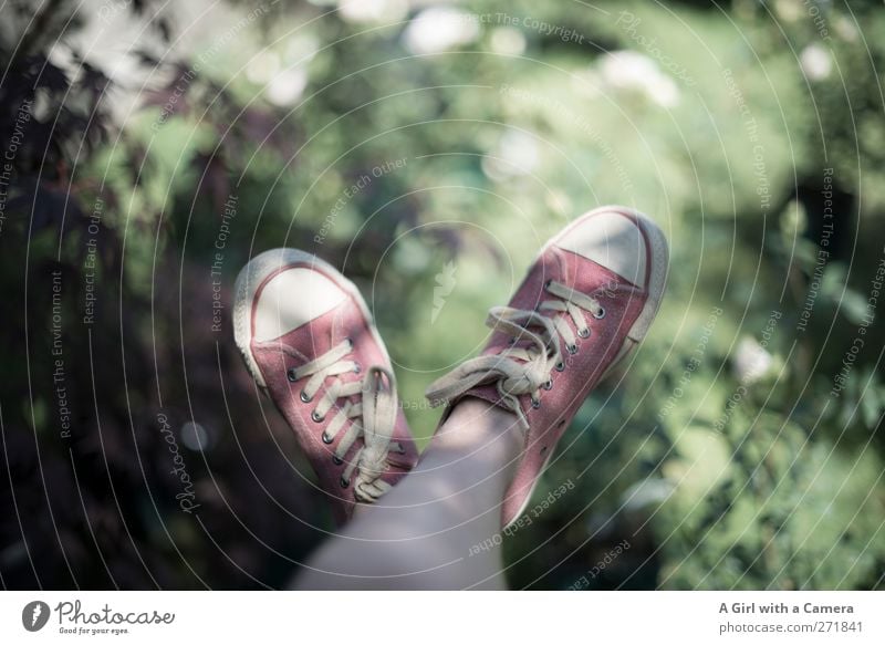 baumeln Fuß Natur Pflanze Schönes Wetter Garten Park Schuhe Turnschuh hängen einfach Fröhlichkeit trendy schön einzigartig rosa kreuzen Gedeckte Farben