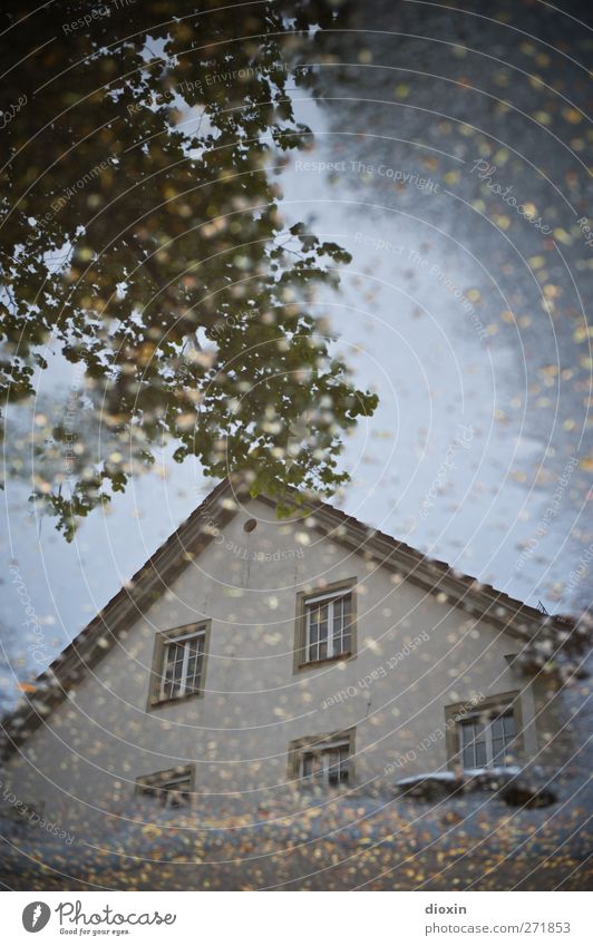 Haus im See Wetter schlechtes Wetter Regen Baum Blatt Menschenleer Gebäude Architektur Mauer Wand Fassade Fenster Dach nass Stadt Pfütze Farbfoto Außenaufnahme