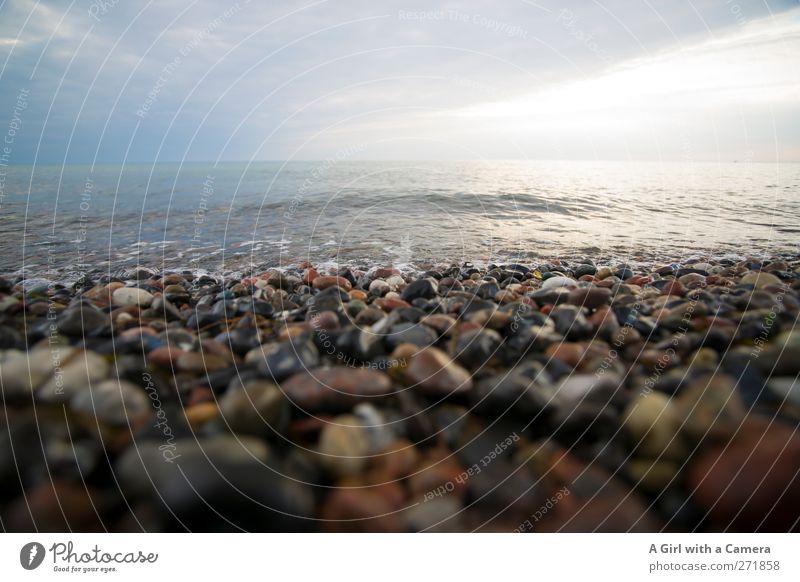 Hiddensee l where things are hidden Umwelt Natur Landschaft Urelemente Wasser Himmel Wolken Frühling Klima Schönes Wetter Küste Strand Ostsee Meer Insel liegen