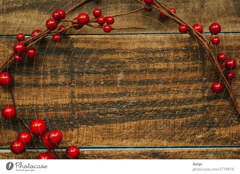 Weihnachtszweig mit roten Beeren Frucht Winter Dekoration & Verzierung Feste & Feiern Weihnachten & Advent Natur Pflanze Baum Blatt Holz neu viele grün weiß