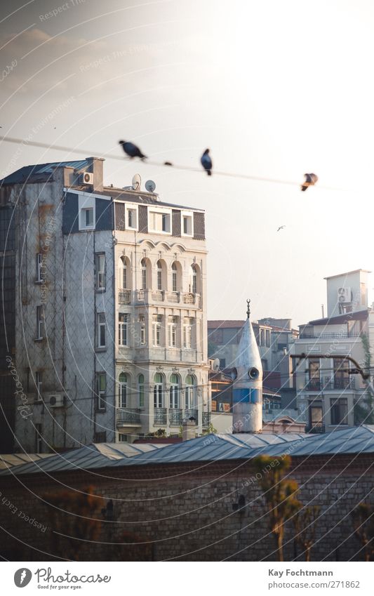 Istanbul #1 Ferien & Urlaub & Reisen Tourismus Ferne Freiheit Sightseeing Städtereise Sommer Sommerurlaub Architektur Türkei Stadt Hafenstadt Haus Hochhaus Turm