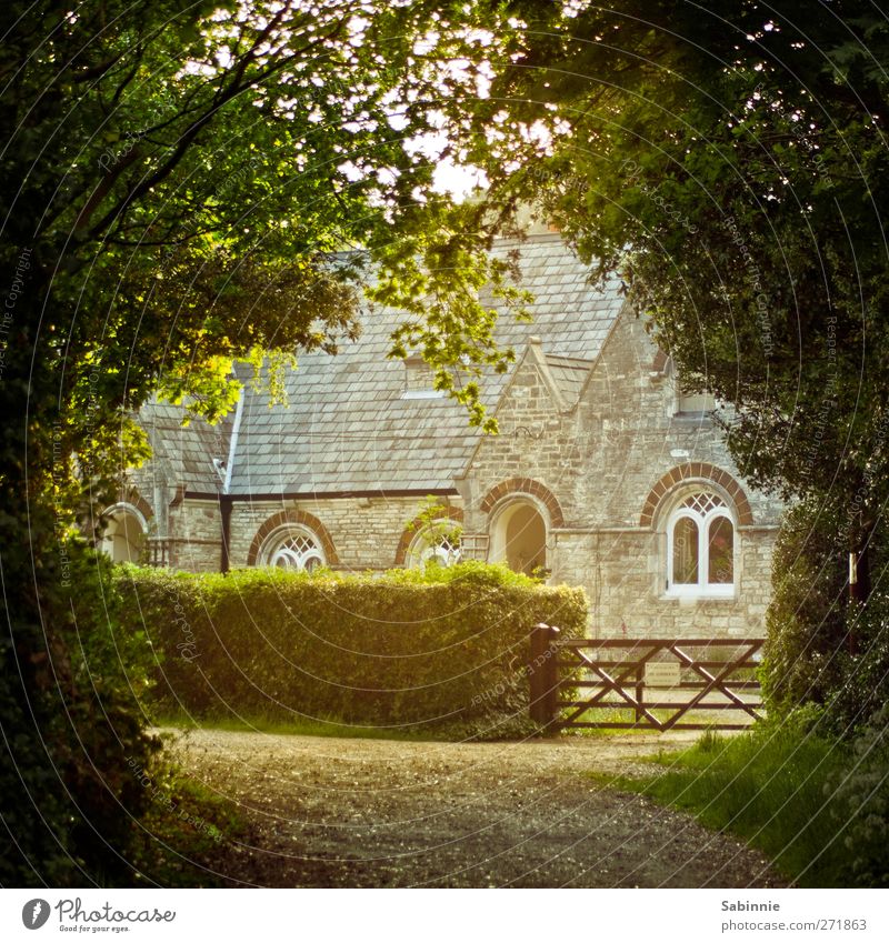 Little bit of Sunshine Umwelt Natur Erde Sonne Sonnenlicht Sommer Schönes Wetter Baum Gras Sträucher Nutzpflanze Hecke Wald Bournemouth England Dorf Haus