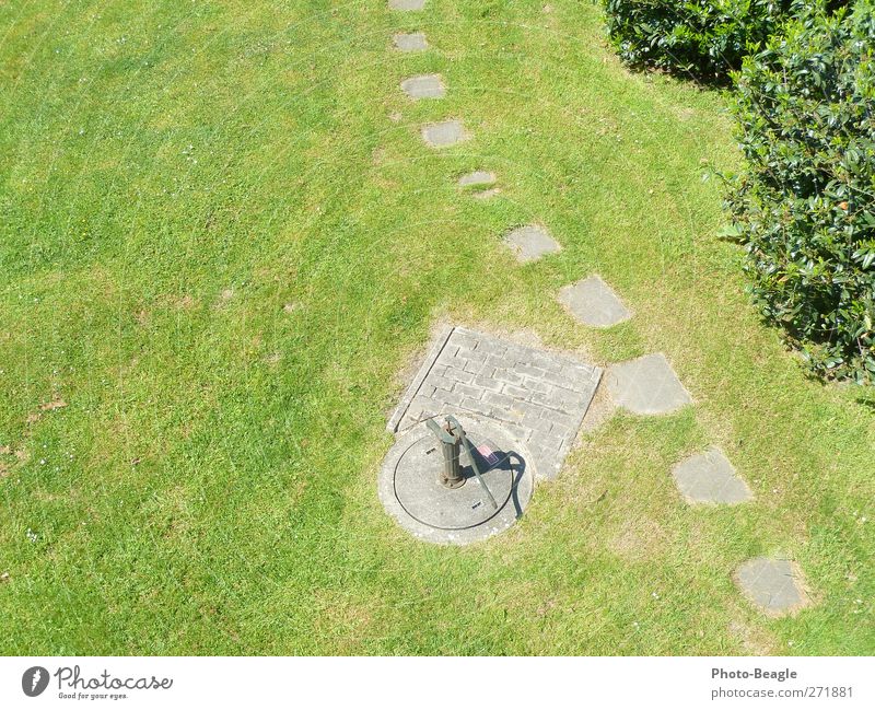 Handpumpe Sommer Sonne Garten Wasserpumpe Schönes Wetter Wärme Gras Park Wiese Freundlichkeit heiß trocken grün Gartenpumpe Hochsommer Farbfoto Luftaufnahme