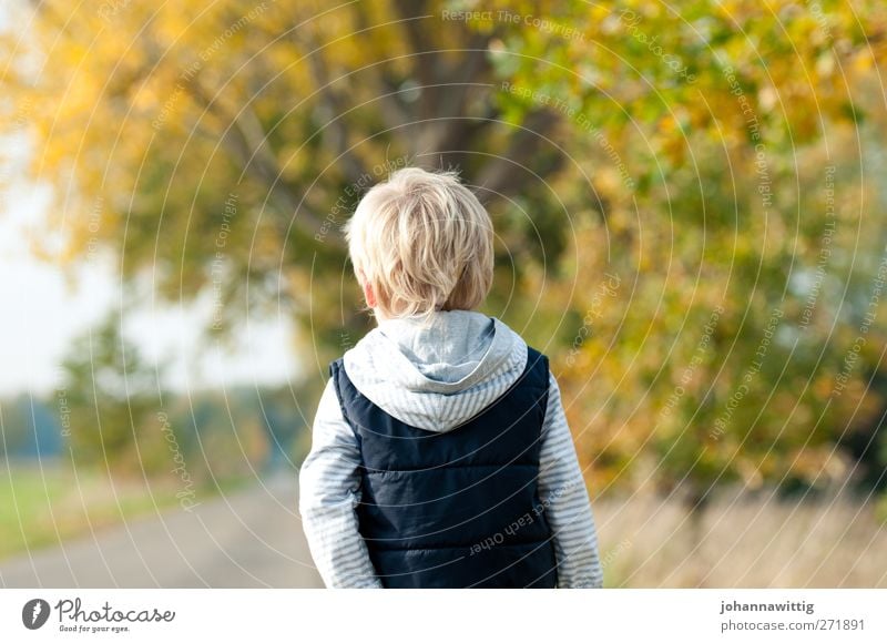 davor und danach. schön Kind Mensch maskulin Kleinkind Kindheit 1 3-8 Jahre Umwelt Natur Pflanze Herbst Schönes Wetter Baum Gras Sträucher blond Fröhlichkeit