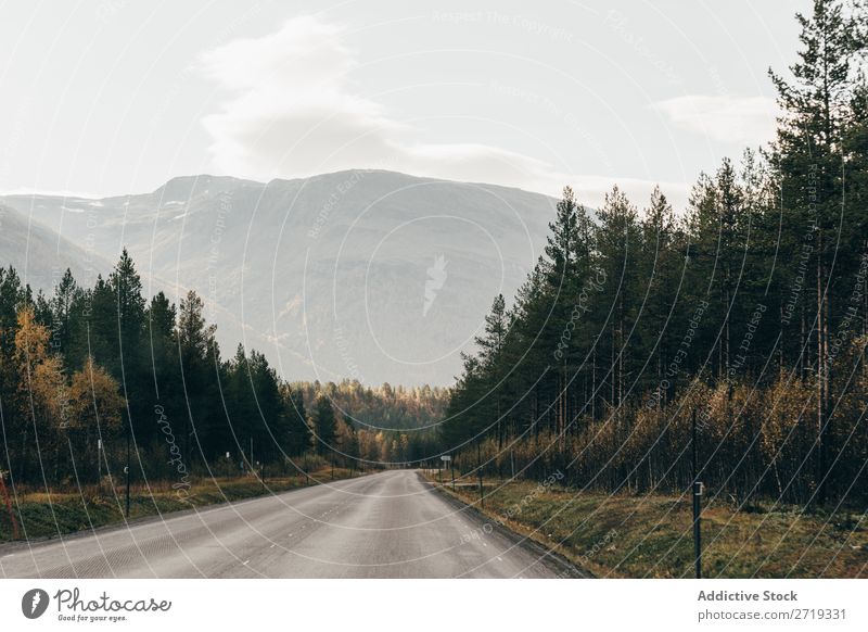 Leere Straße in den Bergen Hügel Berge u. Gebirge Gipfel Natur Autobahn ausleeren Landschaft Höhe Felsen Top Ferien & Urlaub & Reisen Abenteuer schön Klippe