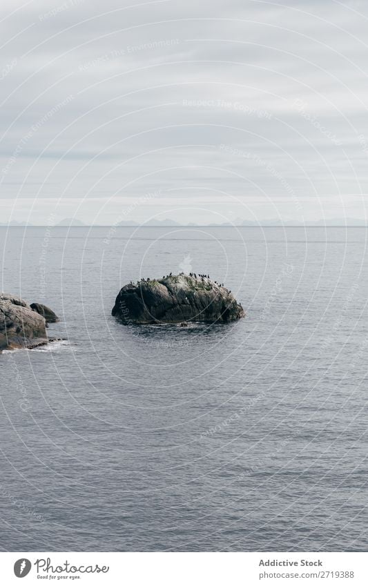 Felsen im Wasser ruhig Natur Stein Meer Himmel Landschaft See Aussicht harmonisch friedlich Wetter Horizont Gelassenheit sanft schön erstaunlich malerisch