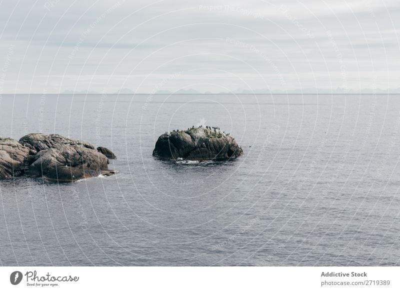 Felsen im Wasser ruhig Natur Stein Meer Himmel Landschaft See Aussicht harmonisch friedlich Wetter Horizont Gelassenheit sanft schön erstaunlich malerisch