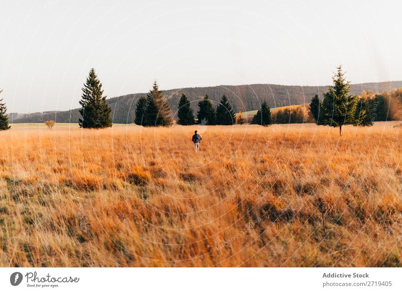 Reisender in goldenen Feldern Landschaft Gelände Länder abgelegen Freiheit Umwelt Tal Erkundung Baum Aussicht Abenteuer Szene mehrfarbig Wildnis Tourismus