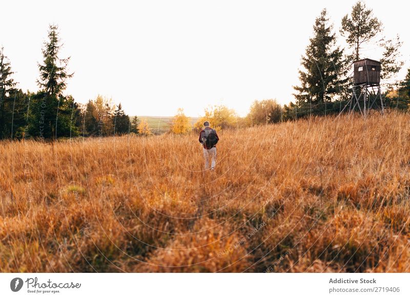 Reisender in goldenen Feldern Landschaft Gelände Länder abgelegen Freiheit Umwelt Tal Erkundung Baum Aussicht Abenteuer Szene mehrfarbig Wildnis Tourismus