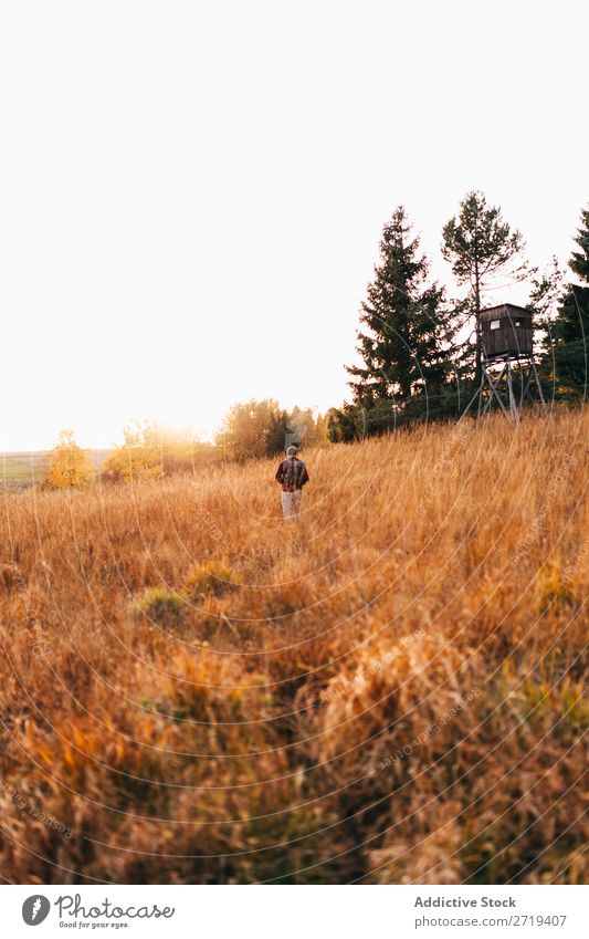 Reisender in goldenen Feldern Landschaft Gelände Länder abgelegen Freiheit Umwelt Tal Erkundung Baum Aussicht Abenteuer Szene mehrfarbig Wildnis Tourismus