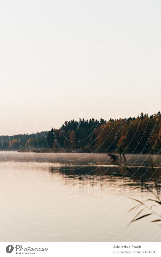 Ruhige Seeoberfläche am Morgen Stille Dunst ruhig Natur Reflexion & Spiegelung Beautyfotografie Mysterium natürlich Tourismus reisend Ausflugsziel Gelassenheit