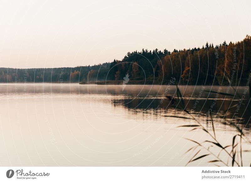 Ruhige Seeoberfläche am Morgen Stille Dunst ruhig Natur Reflexion & Spiegelung Beautyfotografie Mysterium natürlich Tourismus reisend Ausflugsziel Gelassenheit