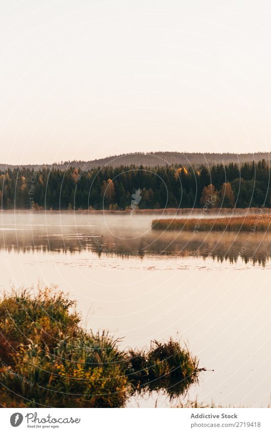 Morgendliche Nebelschwaden über dem See Landschaft Herbst Dunst Stille ruhig Tourismus wunderbar Natur Beautyfotografie Sonnenlicht Außenaufnahme Seeufer