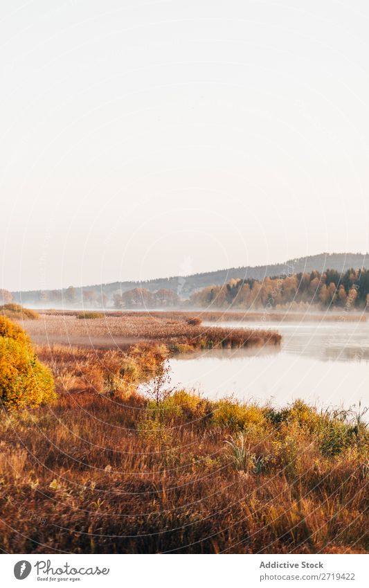 Morgendliche Nebelschwaden über dem See Landschaft Herbst Dunst Stille ruhig Tourismus wunderbar Natur Beautyfotografie Sonnenlicht Außenaufnahme Seeufer