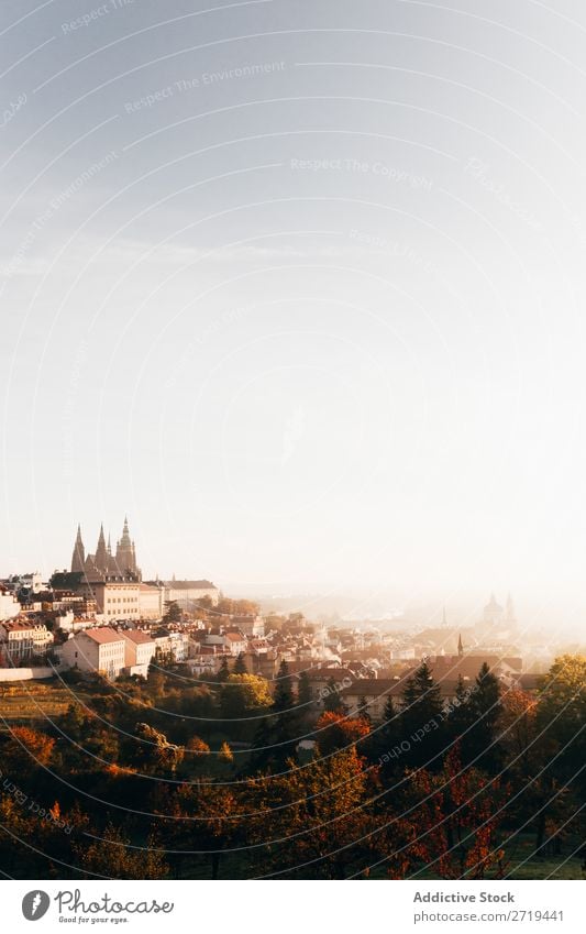 Morgendlicher Dunst über der Altstadt im Herbst Skyline Architektur Großstadt Ausflugsziel Landschaft Stadt Ferien & Urlaub & Reisen Verkehr Perspektive